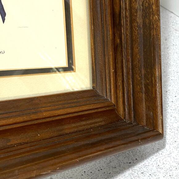 Botanical Lithograph Print Framed in Shadowbox Deep Walnut Solid Wood Frame - Picture 6 of 8